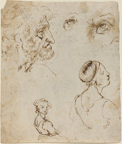 Blatt mit Studien (recto) von Leonardo da Vinci